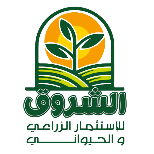 Ashourouk logo